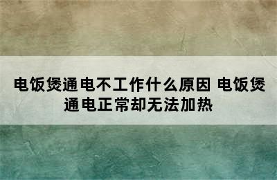 电饭煲通电不工作什么原因 电饭煲通电正常却无法加热